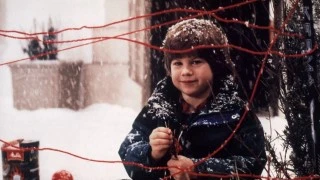 Трейлер фильма Один дома 3